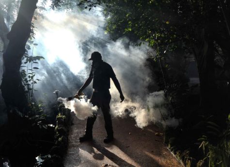 Fran Middlebrooks, a grounds keeper at Pinecrest Gardens, uses a blower to spray pesticide to kill mosquitos Aug. 4, 2016 in Miami, as Miami Dade county fights to control the Zika virus outbreak. (Gaston De Cardenas/Miami Herald/TNS)