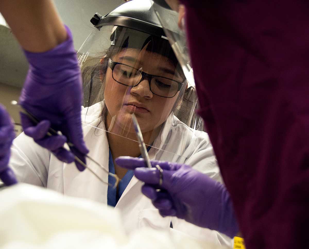 Viviana Valencia, then a junior from Chicago studying mortuary science and funeral service, uses dissecting scissors and tweezers with peers to remove skin from a cadaver and identify bone structures Monday, March 23, 2015, during an embalming lab in the College of Applied Sciences and Arts. (Morgan Timms | @Morgan_Timms)