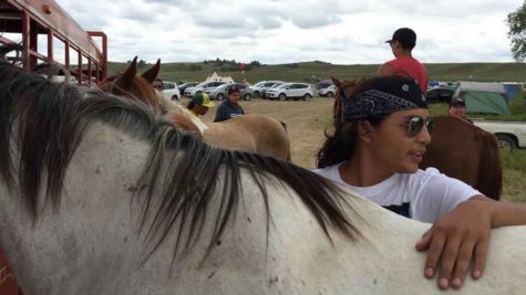 Tech Big Crow, 18, cares for Blue, one of the horses he and others have brought to the protest site, at the confluence of the Cannonball and Missouri rivers in North Dakota. (William Yardley/Los Angeles Times/TNS)