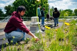Green roof promotes Earth Day awareness