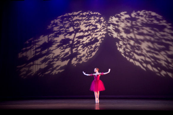 Emotions evoked by Alzheimerâ€™s expressed through spoken-word ballet