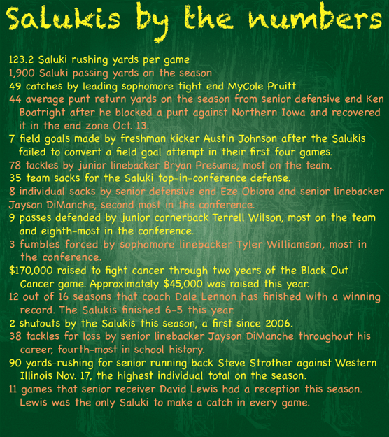 Salukis by the numbers 2012