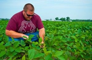 College engineers disease-resistant soybeans