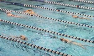 Swim teams achieve academic honors