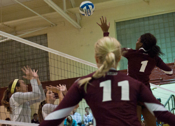 Three things to know about Saluki volleyball before the season opener