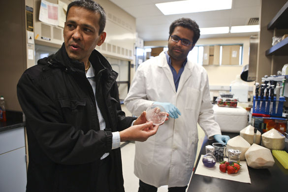 SIU researchers discover potential alternatives to carcinogenic preservatives