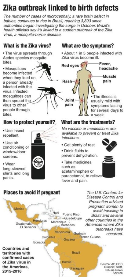Rapid+spread+of+Zika+virus+has+WHO+considering+global+health+emergency