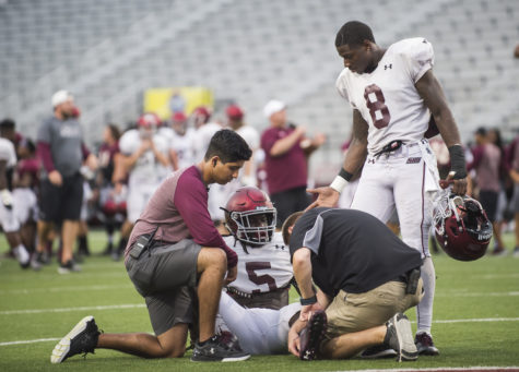 Wide receiver Darrell James (8) extends a hand to his teammate as medical staff examine running back Daquan Isom (5) for injuries during SIU's fall football scrimmage on Saturday, Aug. 20, 2016, at Saluki Stadium in Carbondale. (Ryan Michalesko | @photosbylesko)
