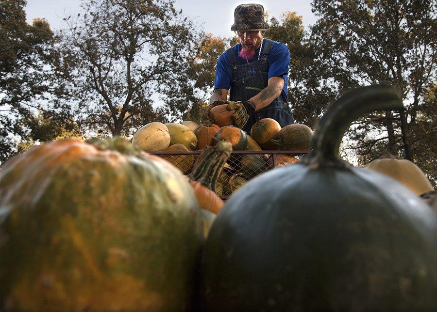 Photo of the Day: Pumpkin stacking