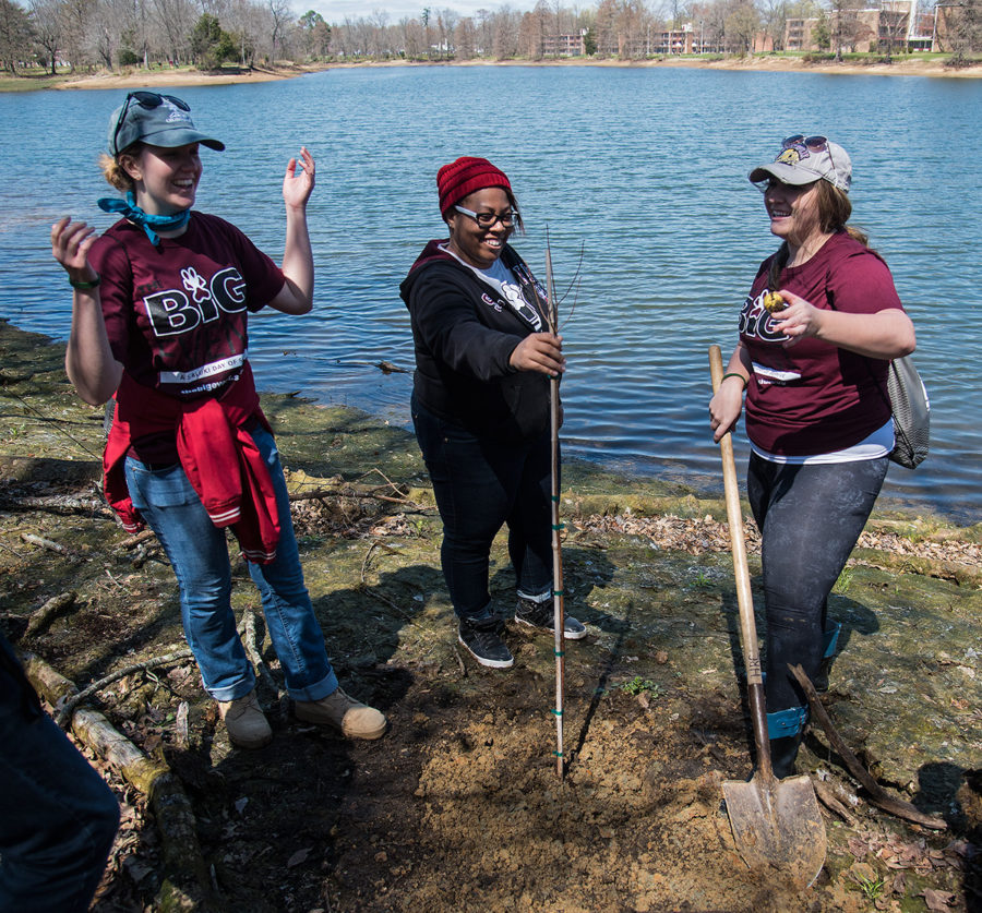 Zoey Koester, a senior from Chatham studying interior design; Kiah Kirkwood, a senior from Belleville studying chemistry; and Morgan Meinhart, a senior from Newton studying interior design, react to finding a golf ball while planting a Cypress tree Saturday, April 1, 2017, along the edge of Campus Lake. Bruce DeRuntz, director of the SIU Leadership Development Program, said 80 volunteers planted 40 trees while they volunteered during The Big Event on Saturday. Hundreds of SIU students took part in the day of service at various locations in Carbondale and the surrounding area. (Jacob Wiegand | @jawiegandphoto)