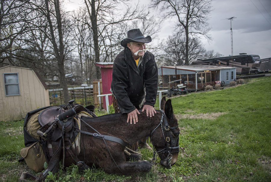 Rich Cooper, of Salem, rests his hands on the neck of his mule, DC, after instructing him to lie down Wednesday, April 5, 2017, during the second annual McAllister and Friends Mule Ride at High Knob Campground in the Shawnee National Forest. (Morgan Timms | @Morgan_Timms)