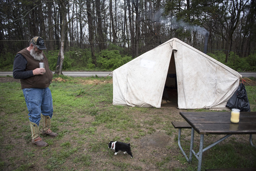 Steve Dawson, of Licking, Missouri, watches as his new Australian Shepherd puppy, named Shawnee, explores the terrain outside his tent Thursday, April 6, 2017, during the second annual McAllister and Friends Mule Ride at High Knob Campground in the Shawnee National Forest. This brings all the mule community together here in one first place so that we can enjoy our mules, ride and just have a good time, Dawson said. (Morgan Timms | @Morgan_Timms)
