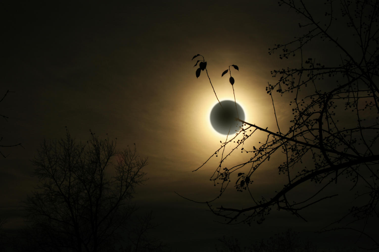 Idaho Falls braces for the world as eclipse-mania sweeps the small town. (Dreamstime/TNS)