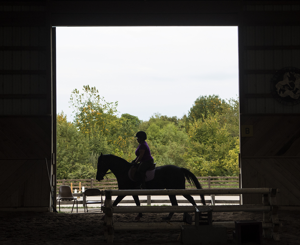 Photo of the Day: Dancing at the stables