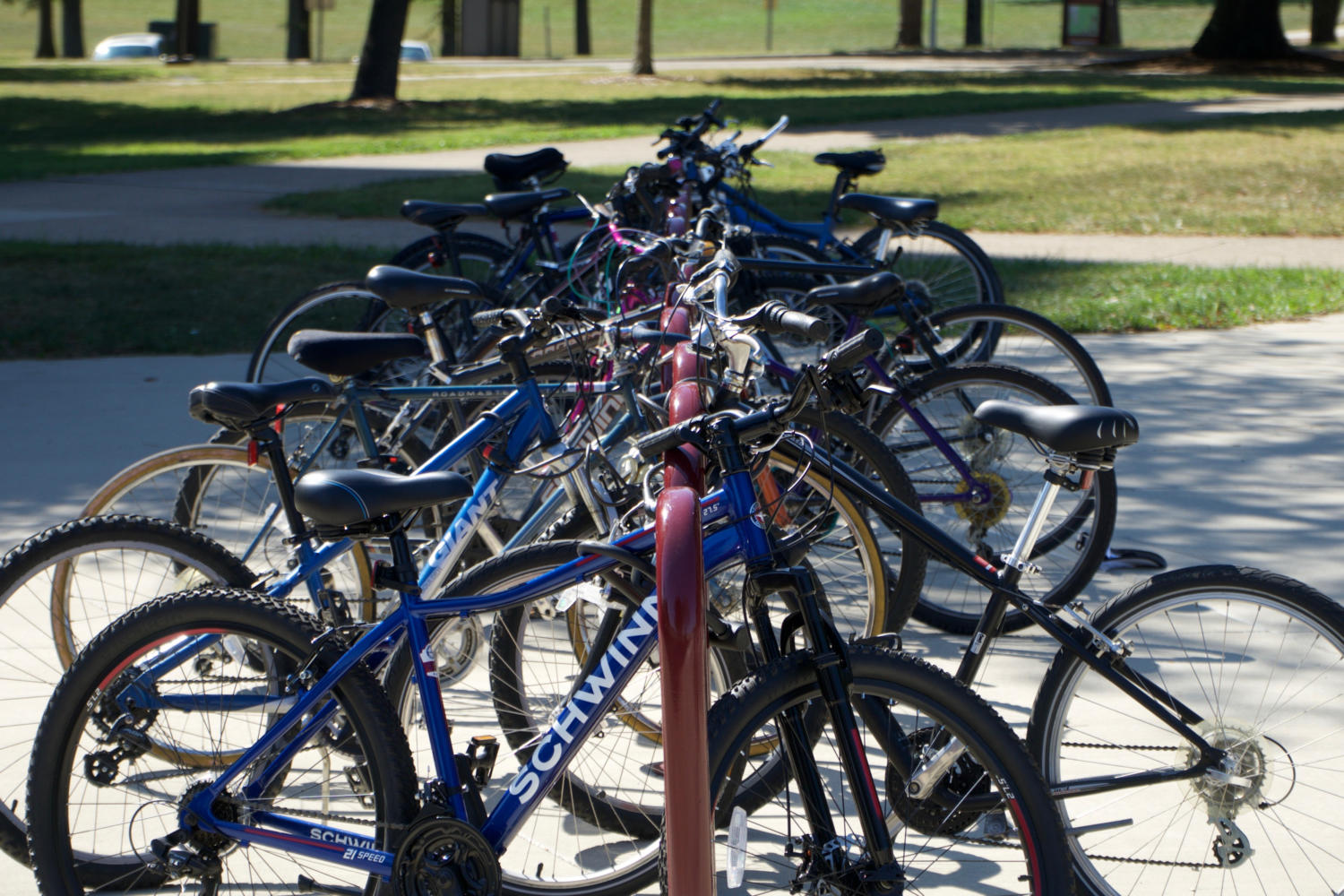 Students+bicycles+at+the+beginning+of+a+new+bike+trail+Saturday%2C+Sept.+9%2C+2017%2C+between+the+SIU+Recreation+Center+to+the+tower+apartments+on+Grand+Ave.+%28Auston+Mahan+%7C+%40AustonMahanDE%29