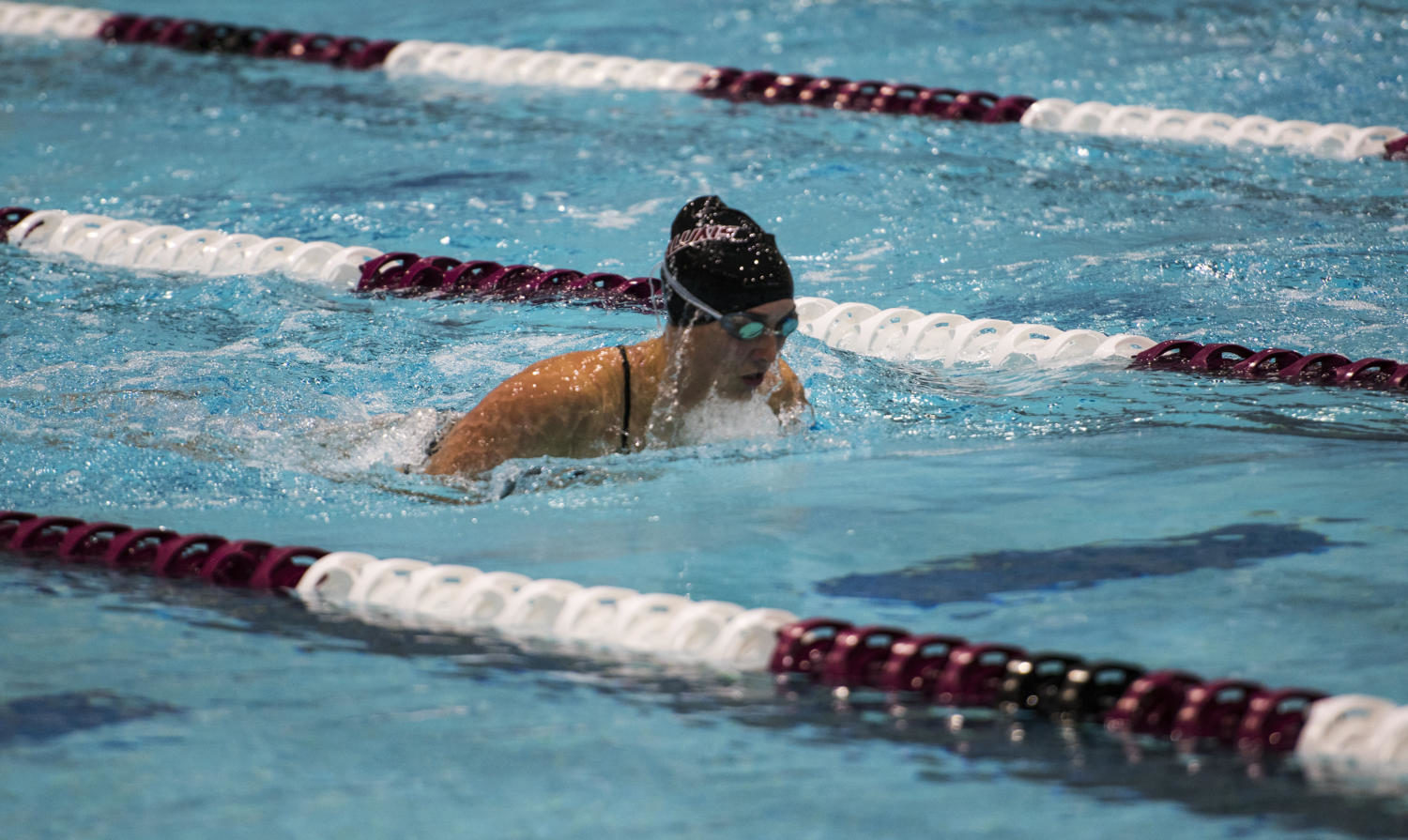 Freshman Cassidy Lounsbury swims the women’s 50-yard breaststroke during the Saluki’s first meet of the season against Lindenwood University on Friday, Sept. 15, 2017, at the Dr. Edward Shea Natatorium. The Salukis ranked low times in six races against the Lions. (Dylan Nelson | Dylan_Nelson99)