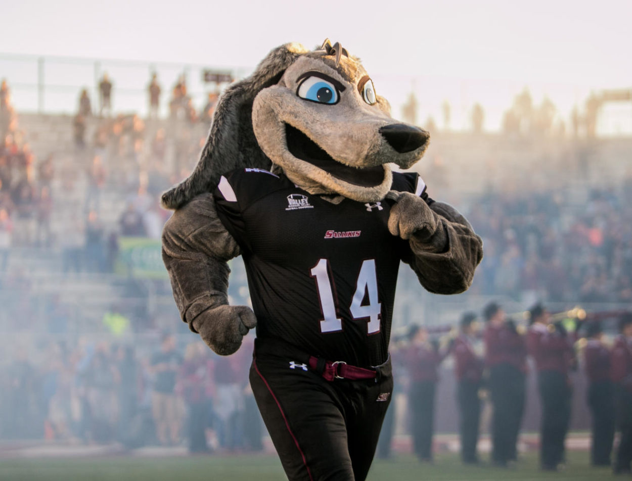 Gallery: SIU Football Falls To UNI 24-17 – The Daily Egyptian