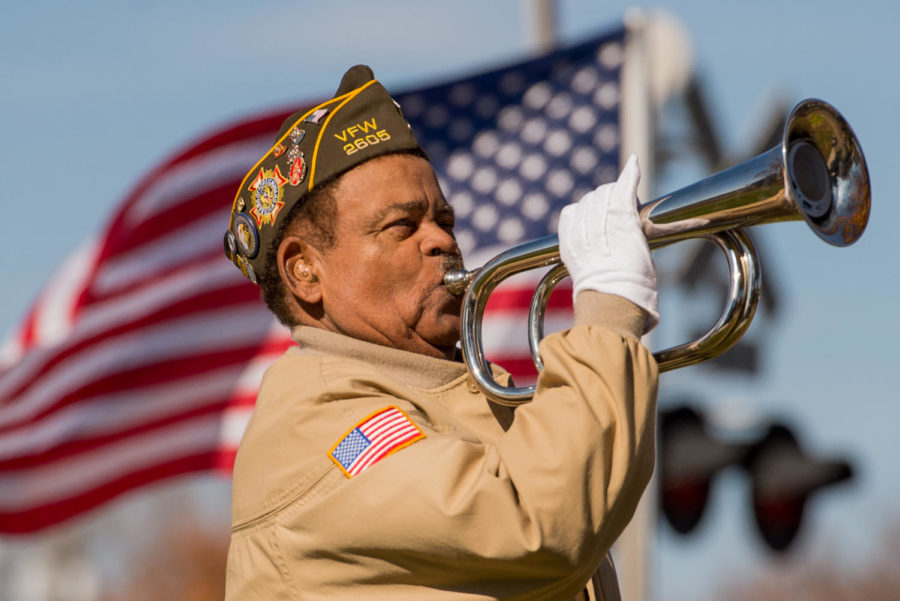 gallery-veterans-day-celebrations-across-southern-illinois-the-daily