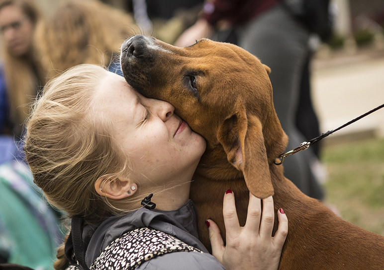 Bailey Barrows, a sophomore from Decatur studying psychology, hugs Buddy, a 6 month old boxer mix Friday, March 23, 2018, during National Puppy Day celebrations at the Student Center. The animals were brought to the Student Center to celebrate National Puppy Day and are all up for adoption through St. Francis Community Animal Rescue. (Corrin Hunt | @CorrinIHunt)