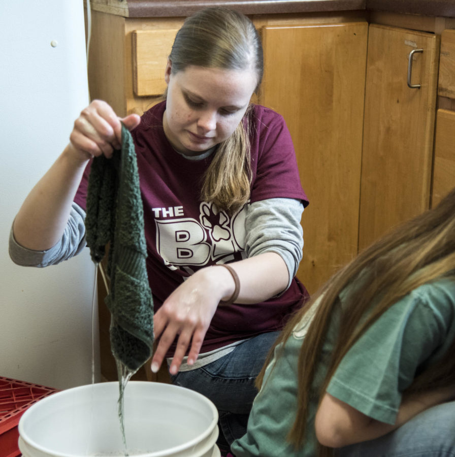 Maggie Amoss, a junior studying physiology, from Cookeville, Tennessee, dips a rag into soapy water, Saturday, April 7, 2018, at the Carbondale Women’s Center as a volunteer for The Big Event hosted by SIU. (Mary Newman | @MaryNewmanDE)