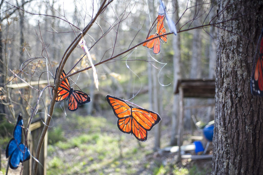 Butterfly puppets hang from a branch, Tuesday, April 17, 2018, at puppetista Lisa Barnes’ home in Cobden. (Mary Newman | @MaryNewmanDE)