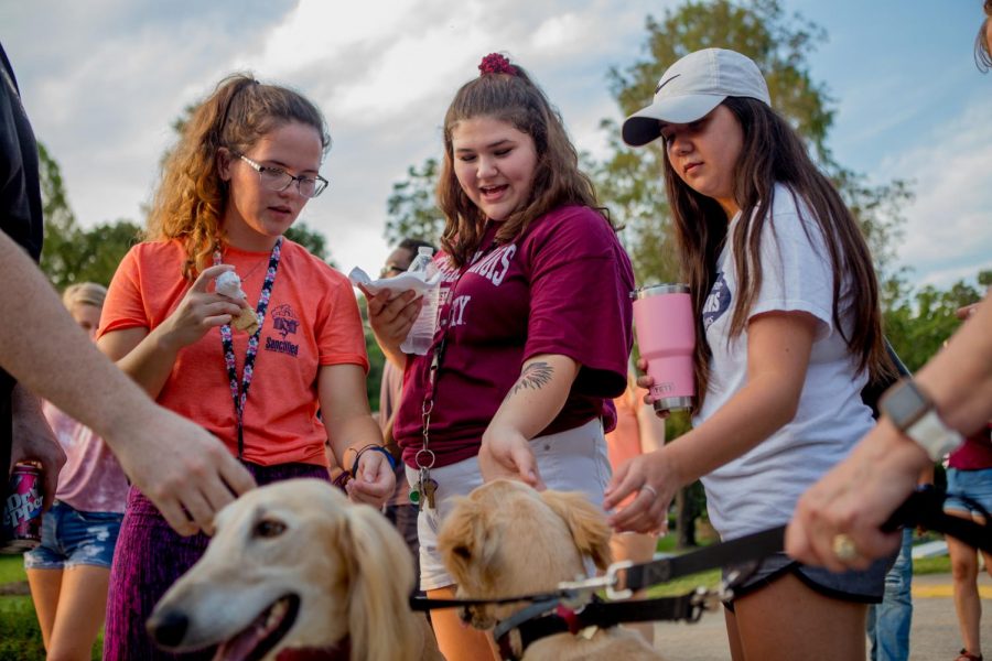 Alaina Pape (center), a freshman studying cinema and photography from Roselle, pets Pharaoh, one of the SIU mascots, on Thursday, Aug. 16, 2018, during Light Up the Lake at Campus Lake.  (Brian Munoz | @BrianMMunoz)