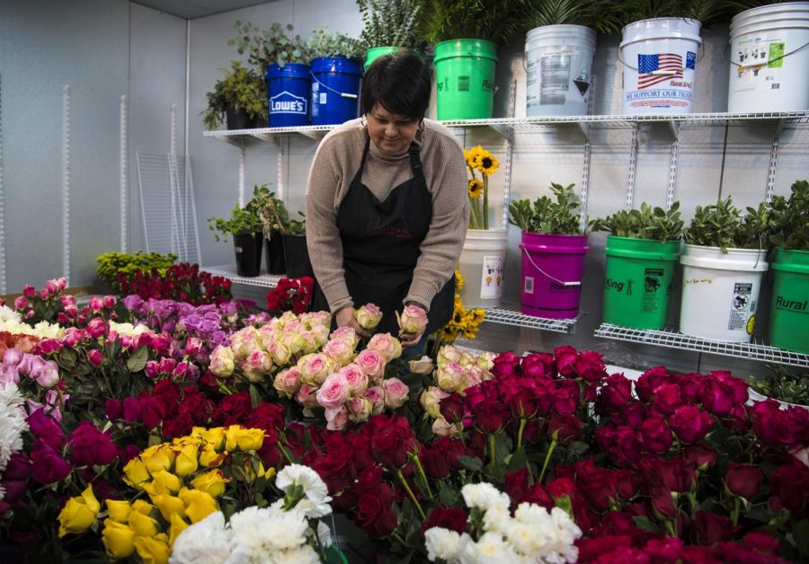 Stacy Bowles, owner of Buds 2 Blooms in Marion, goes back to the cooler to grab some flowers for a Valentines Day arrangement on Saturday, Feb. 9, 2019. This is where all the flowers are kept and I make the arrangements on a work bench, Bowles said. 