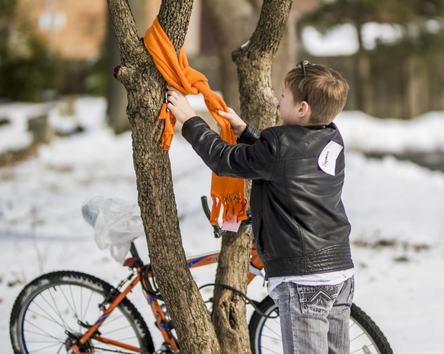 Ten-year-old Spencer Crotser, of Cambria, hangs a scarf on a tree, Saturday, Feb. 16, 2019, during the SIU Social Work Interns warming event at the Public Library. 
