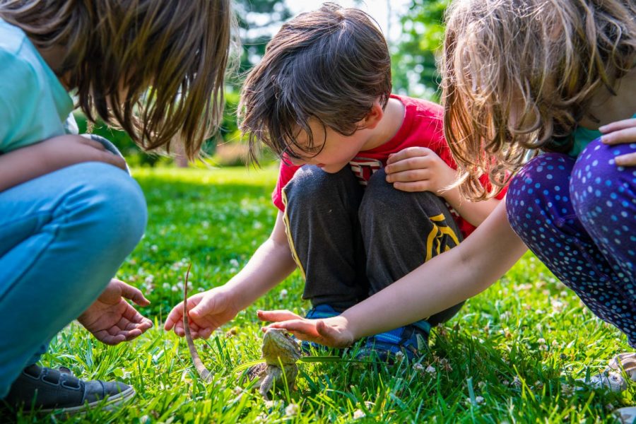 9-year-old Naomi Neeley, five-year-old Samson Neeley and seven-year-old Ruth Neeley pet Gwen the bearded dragon on Saturday, June 1, 2019 at Jeremy Rochman Memorial Park. The children are visiting from Indiana. We usually take [Gwen] everywhere, Gwens owner, Portia Dunn said.