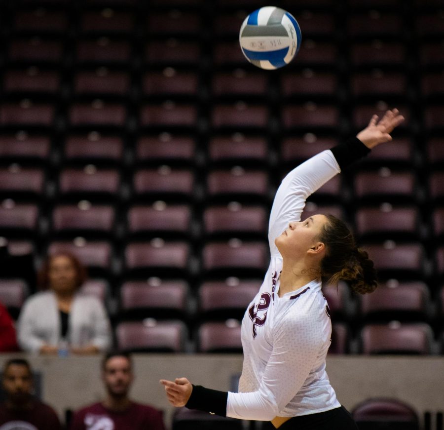 Freshman outside hitter Bailey Neuberger serves the ball on Saturday, Sept. 7, 2019 during the Salukis’ 3-1 win against the Southeastern Louisiana University Lions at the Banterra Center. 