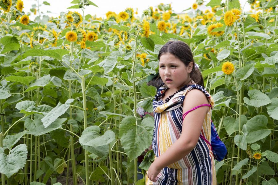 Regan Hilliard, 7, emerges from the sunflower field at Rendlemans Orchard in Alto Pass on Sept. 12. Rendlemans offers flower fields to walk through, goats and chickens to pet and apples for sale through the fall season. 