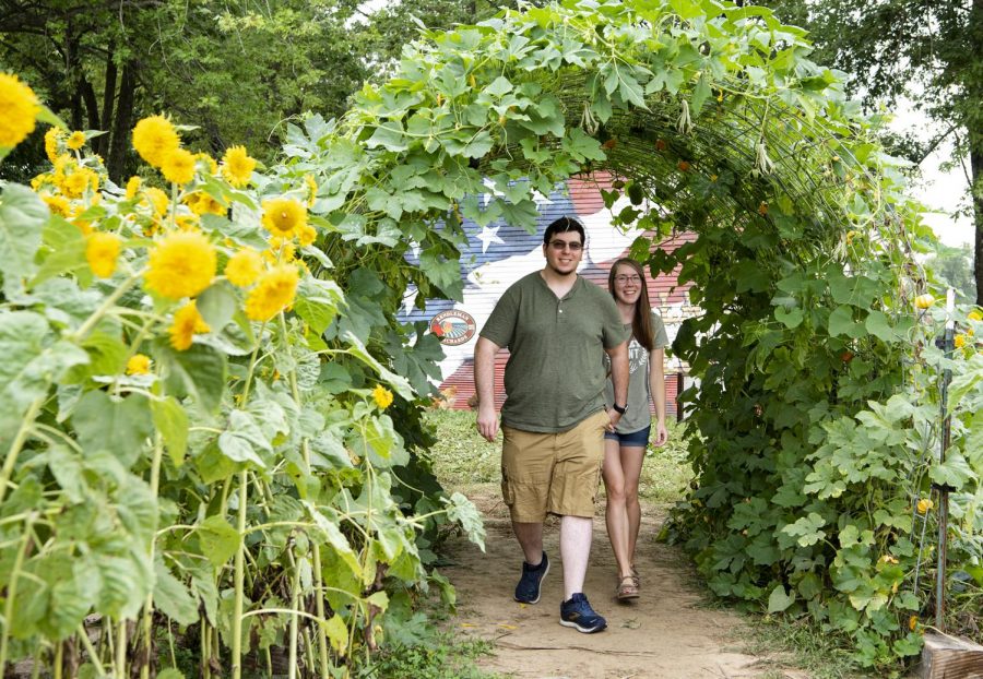 Wyatt Popejoy, left, and Kasey French walk under the entryway to the sunflower field at Rendlemans Orchard in Alto Pass on Sept. 12. Its our first time here, Popejoy said. Its lovely, very lovely here. We cant wait to explore the rest. Rendlemans offers flower fields to walk through, goats and chickens to pet and apples for sale through the fall season.