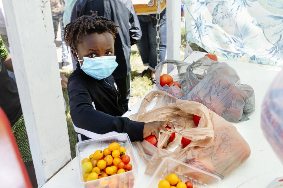 Zylon, 8, picks out some fresh tomatoes at the Big Event hosted by the Carbondale Women for Change on Saturday, Sept. 19, 2020. During this event, fresh garden vegetables from the Red Hen garden were given out to the community.