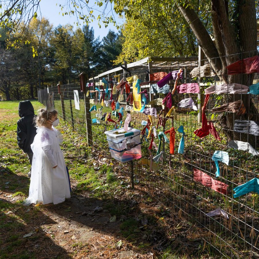 Lena Petersen looks at the memorial wall for Treehouse Wildlife Centers celebrity red fox, Chuckles, at the first-ever, Owl-A-Ween Saturday, Oct. 31, 2020, in Dow, Ill. “She did pass away, the memorial fence is over there, and then starting tomorrow I’ll have to pick a date so we can burn them [memorial notes] with everybody’s messages. Today is the last day for people to put messages up on the fence for her. It’s kind of like the idea of a Tibetan prayer [flag] site, Kelly Vandersand, TreeHouses fundraising coordinator, said. Chuckles was admitted into Treehouse as an orphan in 2007 with head trauma that resulted in a permanent brain injury. Since 2008, she had helped raise over 60 young, orphaned red foxes for release back into the wild. Chuckles passed away in the middle of September. 