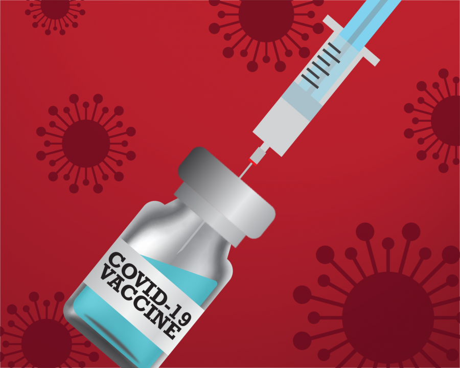 Column: SIU School of Medicine Dean and Provost Jerry Kruse, discusses COVID-19 vaccines