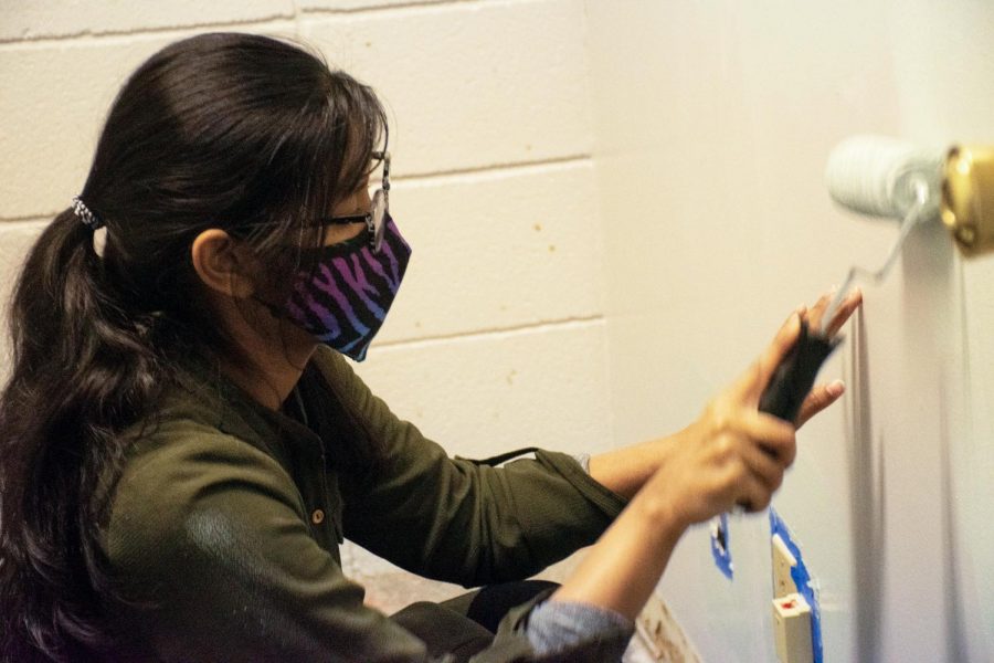 Umama Afsar, an undergraduate student from the department of premedicine at Southern Illinois University, paints a wall at Eurma C.Hayes Center Saturday, Jan 23, 2021 in Carbondale, Ill. 