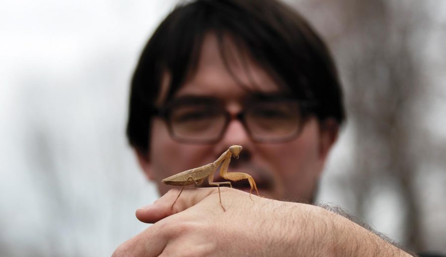 Kenneth Christensen takes one of his pet mantises outside to feed it on Monday March 22, 2021 in Carbondale, Ill. Christensen admires the strength of the praying mantis and keeps a few as pets. 