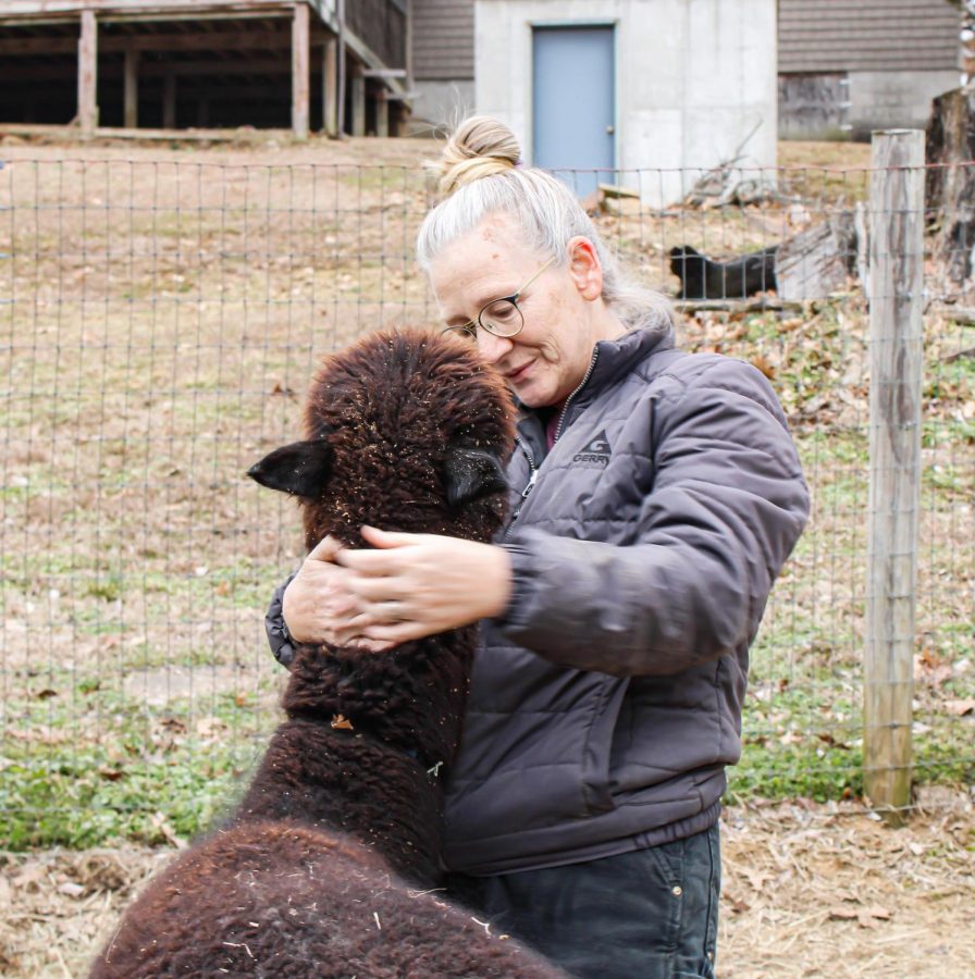 Judy Hoepker pets an alpaca Jan. 27, 2022 at Rolling Oak Alpaca Farm in Makanda, Ill.
