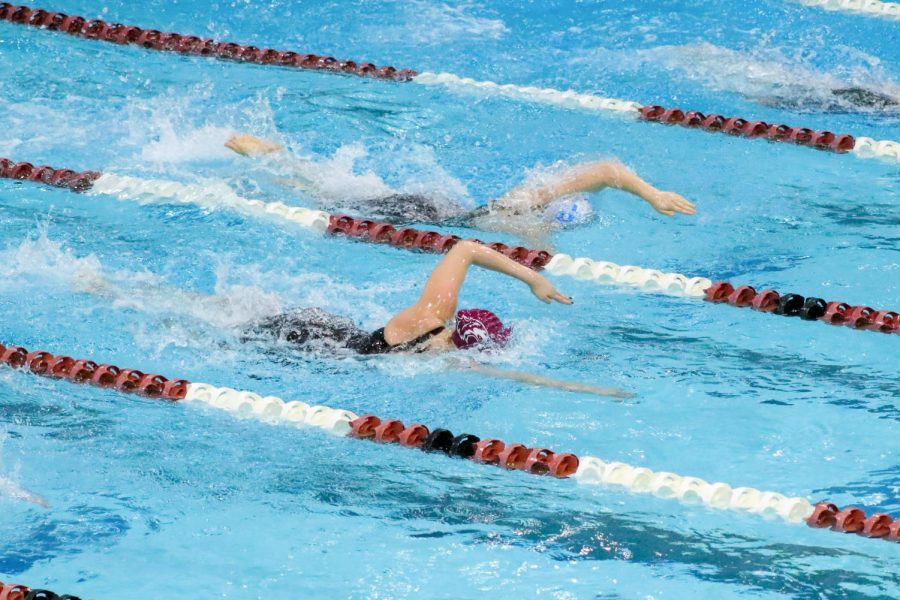 A Saluki swimmer races against Indiana State in the 500m freestyle  Jan. 22, 2021 in Carbondale, Ill.
