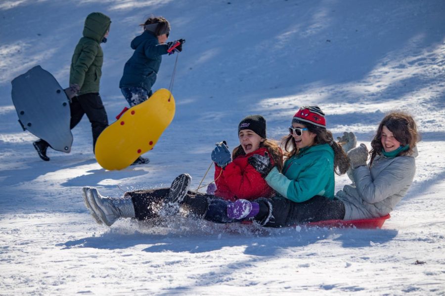 A group of sledders coast down a hill at the Banterra Center Feb. 4, 2022 in Carbondale, Ill. 