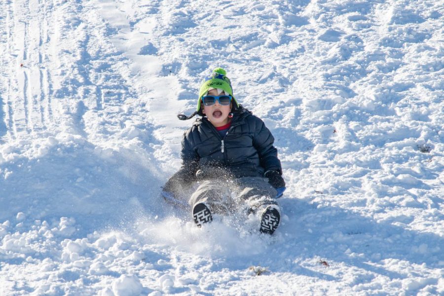 A young boy sleds down a hill at the Banterra Center Feb. 4, 2022 in Carbondale, Ill. 