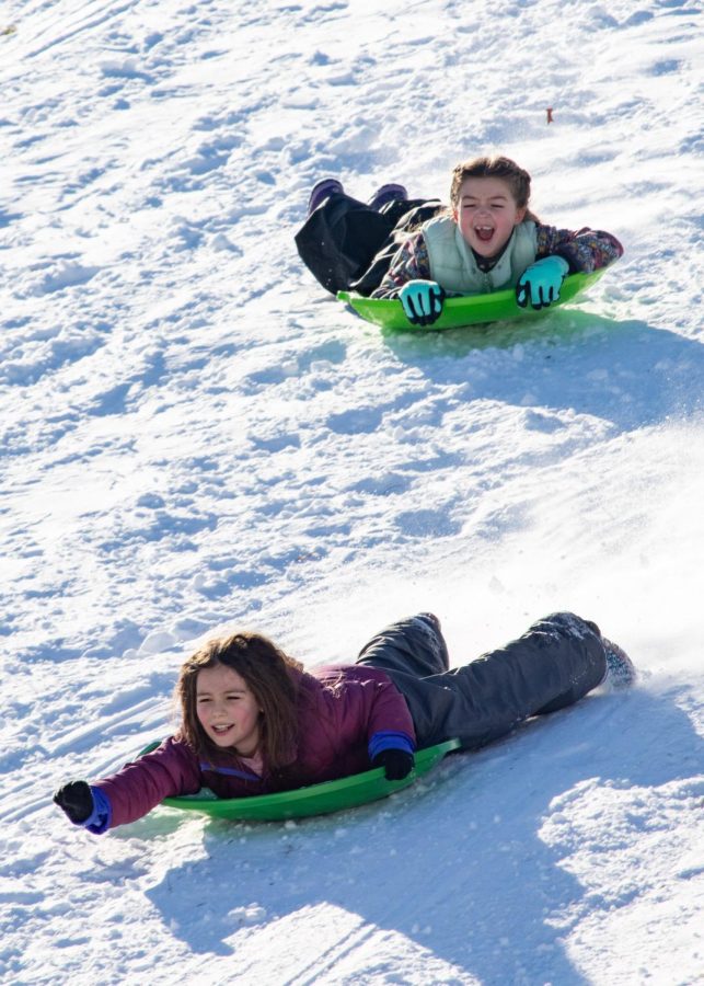 Two girls sled down a hill Feb. 4, 2022 at the Banterra Center in Carbondale, Ill. 