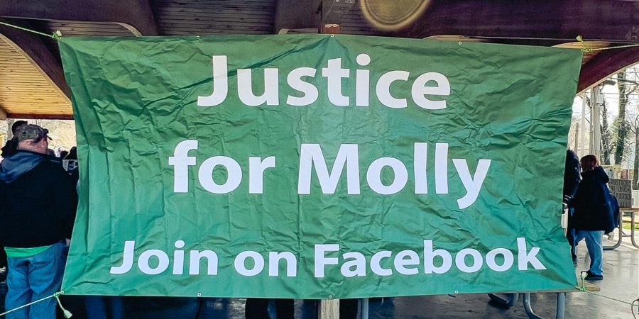 A banner saying Justice for Molly hangs from a pavilion at Turley Park March 27, 2022 in Carbondale, Ill.
