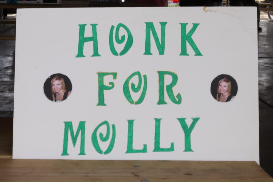 A poster sits under a pavilion to spread awareness for Molly Young at Turley Park March 27, 2022 in Carbondale, Ill.
