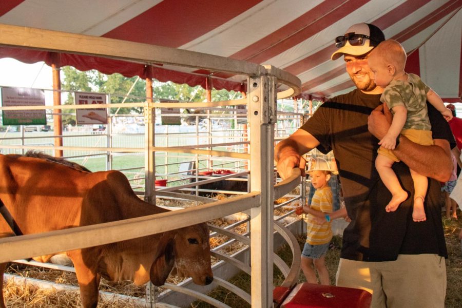Justin May holds his son Ryder May as they look at the cows at the Du Quoin State Fair Aug. 27, 2022 in Du Quoin, Ill. 