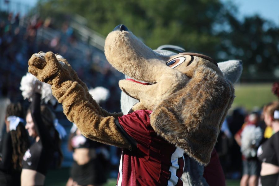 Brown Dawg blows a kiss to the crowd during the home game against North Dakota Sept. 24, 2022 at Saluki Stadium in Carbondale, Ill.