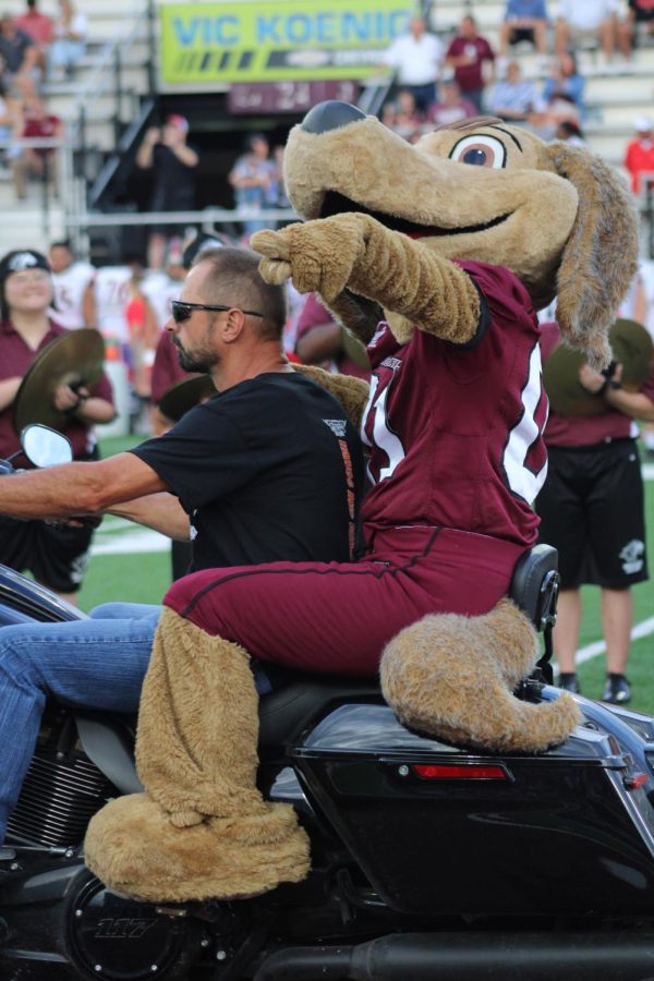 Brown Dawg points to the crowd while riding into the stadium on a motorcycle for the Hawgs and Dawgs night Sept. 10, 2022 at Saluki Stadium in Carbondale, Ill. Saluki Athletics partnered with Harley Davidson to return the Hawgs and Dawgs night on September 10 against Southeast Missouri State University (SEMO). 