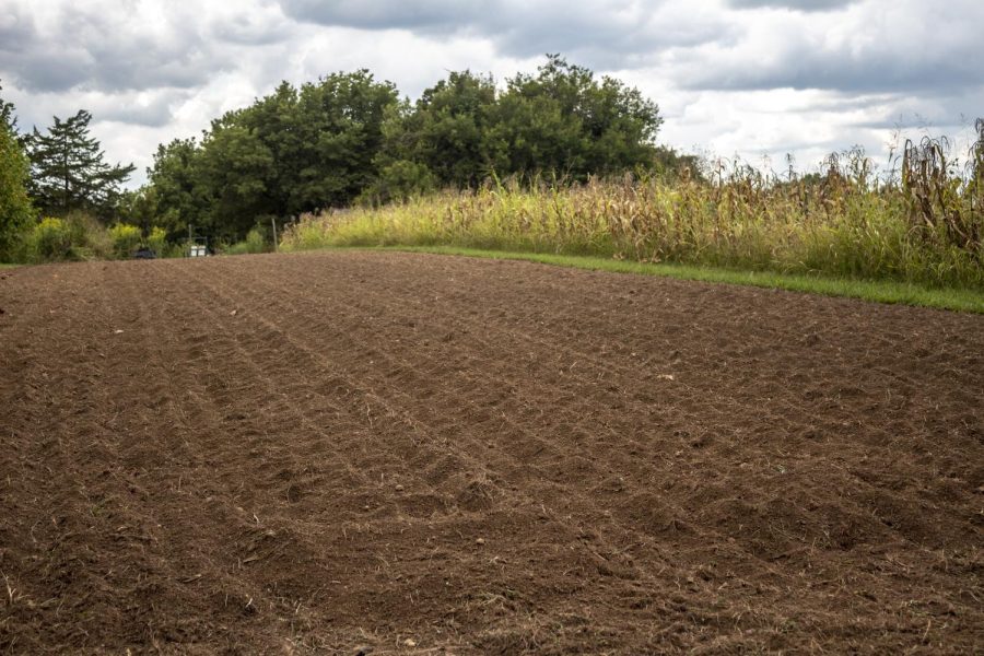 Soil is freshly tilled for Spinach to grow under the sun Sept. 10, 2022 at Mulberry Hill Farm in Carbondale, Ill.