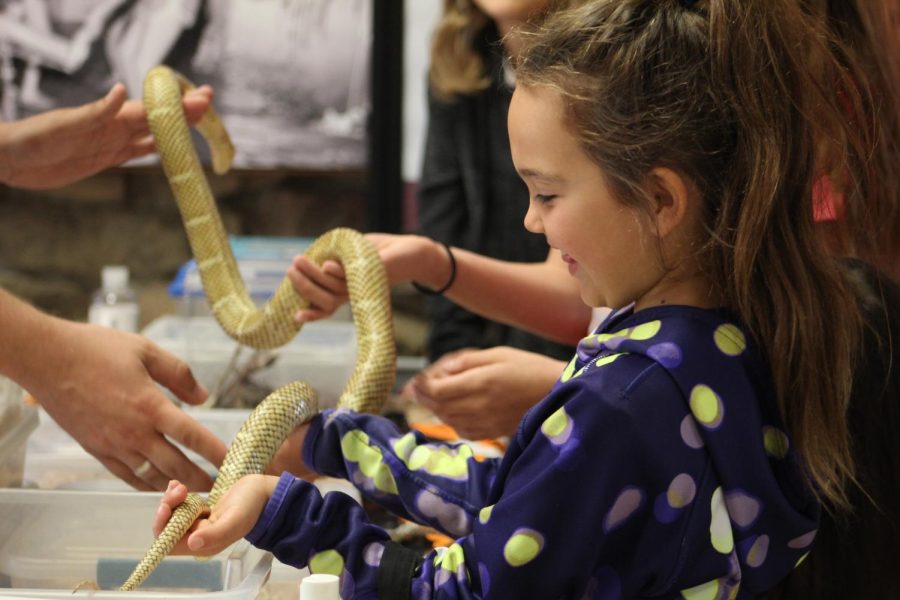 Young child holds a snake at The Haunted Hollow event Oct. 23, 2022 at Touch of Nature in Makanda, Ill. 