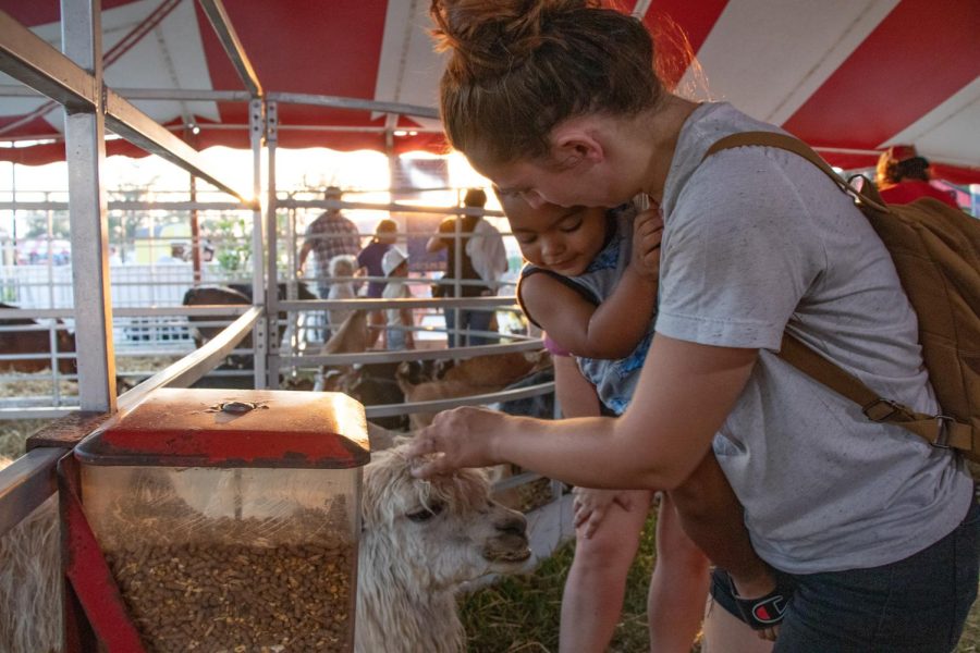Haleigh Rogers holds her son Wesley Rogers as she pets an alpaca at the Du Quoin State Fair petting zoo Aug. 27, 2022 in Du Quoin, Ill.